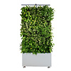 Maxgreenwall puur wit (RAL9016) | Groene muur voor binnen