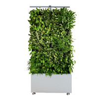 Sempergreen Maxgreenwall puur wit (RAL9016) | Groene muur voor binnen