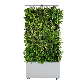Sempergreen Maxgreenwall puur wit (RAL9016)
