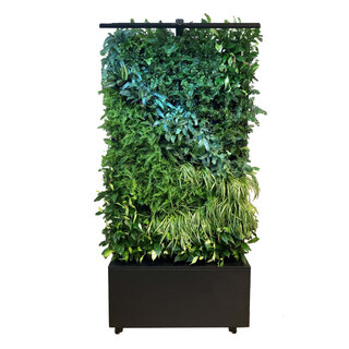 Sempergreen Maxgreenwall grafietzwart (RAL9011)
