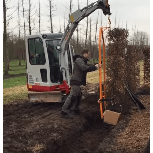 Quick hedge Plantenrek voor het plaatsen van QuickHedge hagen