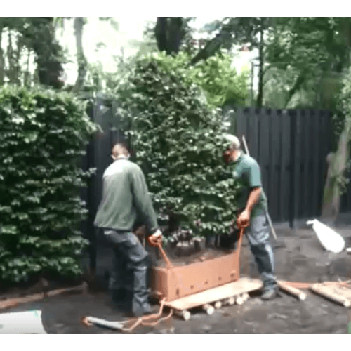 Quick hedge Haken voor plaatsing van QuickHedge met raster