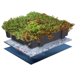 Sempergreen Sempergreen sedumcassette Click 'n Go(45 x 49,5 cm)