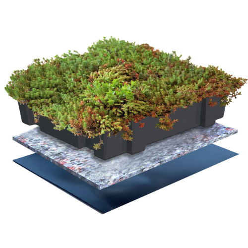 Sempergreen Sedumtray Cassette Click 'n Go (45x49,5 cm)