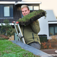 Sempergreen Sedumtray Cassette Click 'n Go (45x49,5 cm)