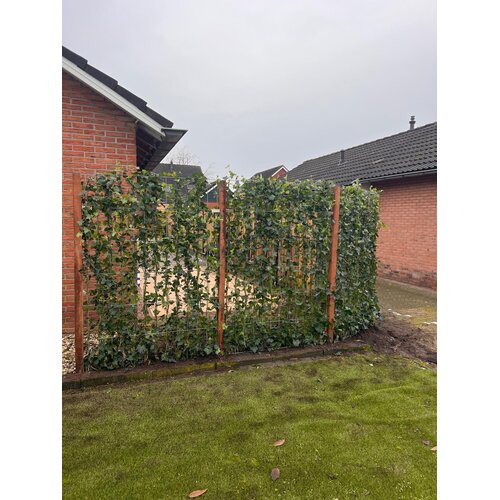 Mobilane Hardhouten paal 305 cm.