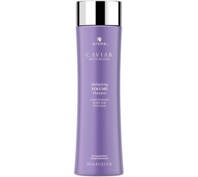 Alterna Volume Shampoo