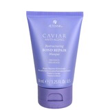 Alterna Repair Masque - Promo Alterna Repair Masque - Promo