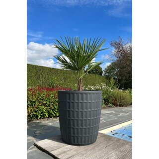 Plantenbak Yentl 80 | Antraciet