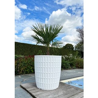 Plantenbak Yentl 80 | Wit
