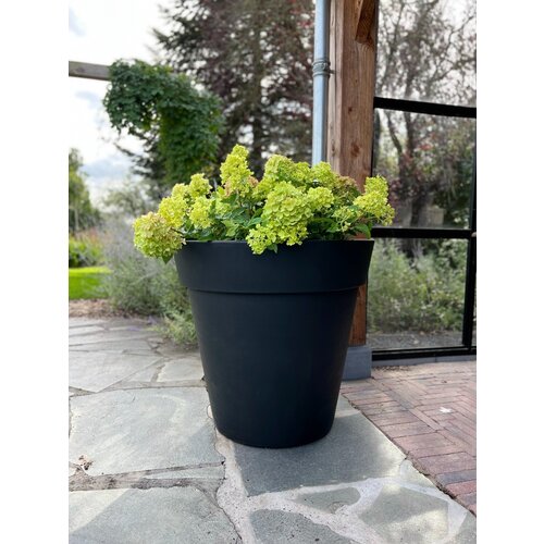 Plantenbak Daan 80 | Zwart
