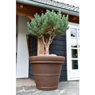 Plantenbak Mirella 100 | Brons