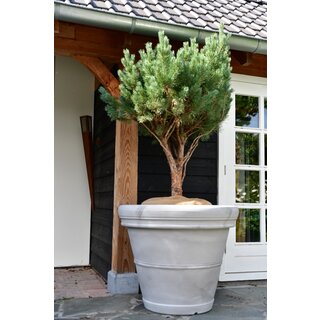 Plantenbak Mirella 100 | Greystone