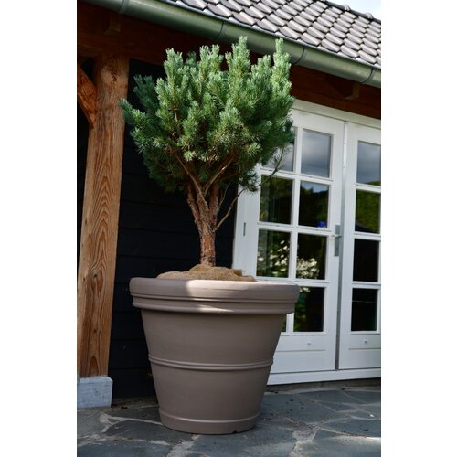 Plantenbak Mirella 100 | Taupe