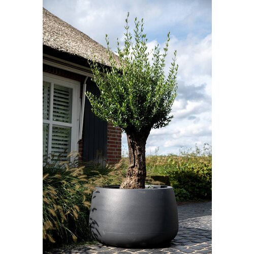 Plantenbak Koert 95 | Antraciet