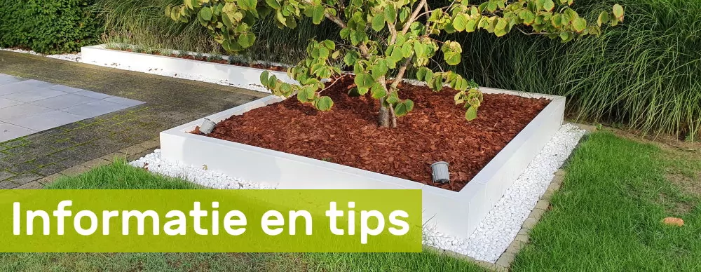 Informatie en tips