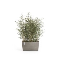 Ecopots Ecopots Paris 80 Taupe