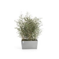 Ecopots Ecopots Paris 80 White grey