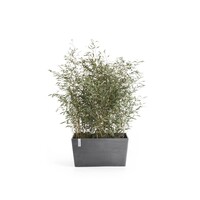 Ecopots Ecopots Paris 60 Grey