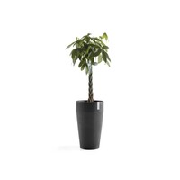 Ecopots Ecopots Sankara high 75 Dark grey