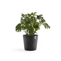 Ecopots Ecopots Amsterdam 50 Dark grey