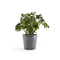 Ecopots Ecopots Amsterdam 50 Grey