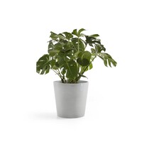 Ecopots Ecopots Amsterdam 50 White grey