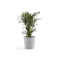 Ecopots Ecopots Amsterdam 50 White grey