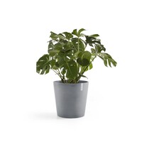 Ecopots Ecopots Amsterdam 40 Blue grey