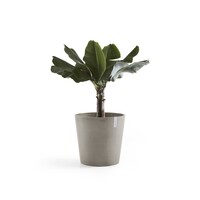 Ecopots Ecopots Amsterdam 40 Taupe