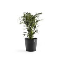 Ecopots Ecopots Amsterdam 40 Dark grey