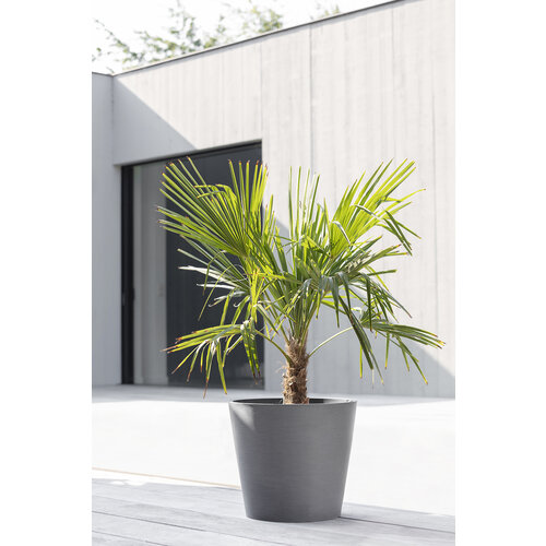 Ecopots Ecopots Amsterdam 40 Grey