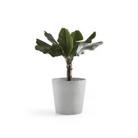 Ecopots Ecopots Amsterdam 40 White grey