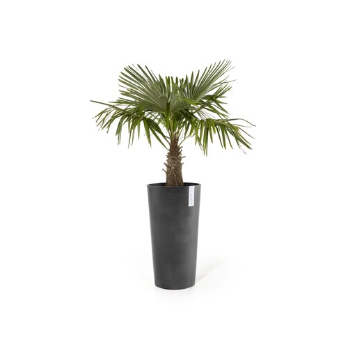 Ecopots Ecopots Amsterdam extra high 90 dark-grey | Gratis levering