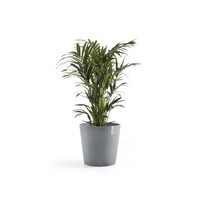 Ecopots Ecopots Amsterdam 50 Blue grey