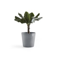 Ecopots Ecopots Amsterdam 50 Blue grey