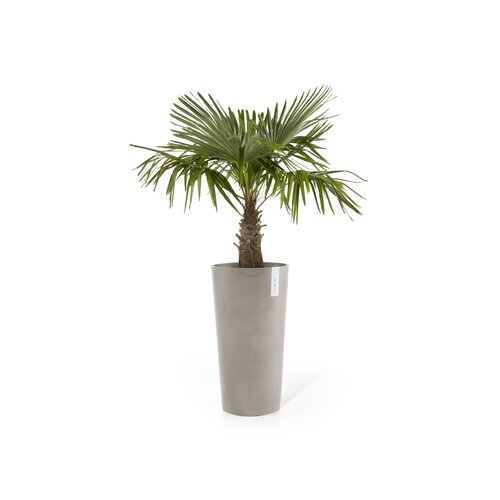 Ecopots Ecopots Amsterdam extra high 90 taupe