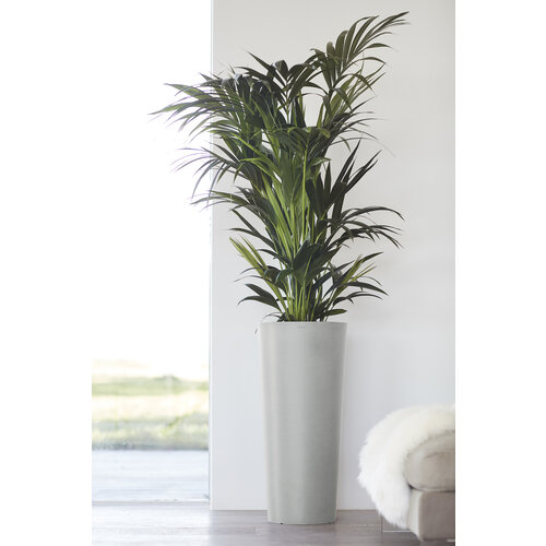 Ecopots Ecopots Amsterdam mid high 66 white-grey | Bestel online