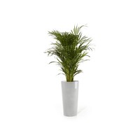 Ecopots Ecopots Amsterdam mid high 66 white-grey | Bestel online