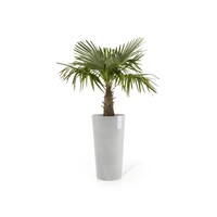 Ecopots Ecopots Amsterdam mid high 66 white-grey | Bestel online