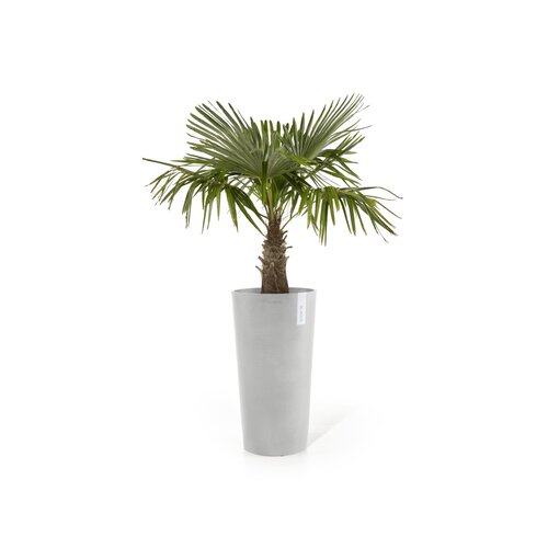 Ecopots Ecopots Amsterdam mid high 66 white-grey | Bestel online