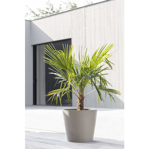Ecopots Ecopots Amsterdam 60 Taupe