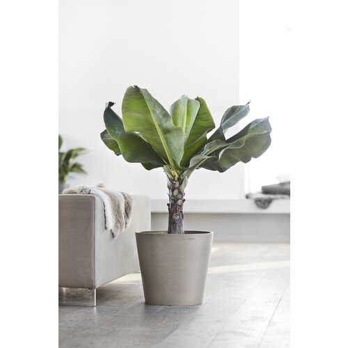 Ecopots Ecopots Amsterdam 60 taupe wheels | Gratis verzending