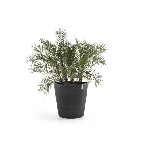 Ecopots Ecopots Amsterdam 60 dark-grey wheels | Gratis bezorging