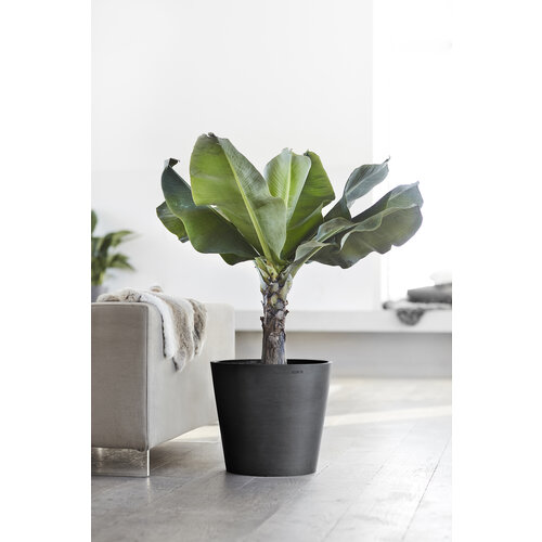 Ecopots Ecopots Amsterdam 100 dark-grey wheels | Binnen & buiten
