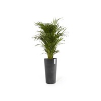 Ecopots Ecopots Amsterdam High 75 dark-grey | Gratis verzending