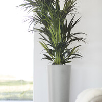 Ecopots Ecopots Amsterdam High 75 white-grey | Gratis verzending