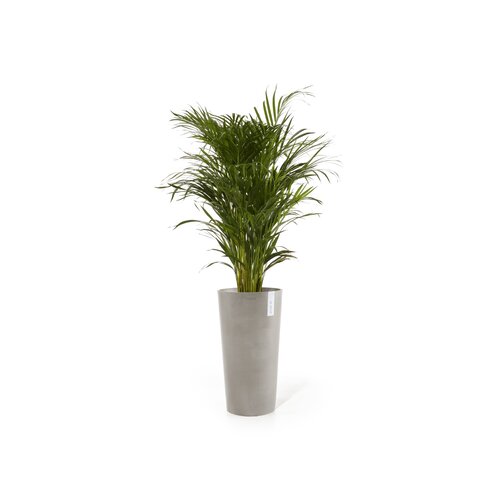 Ecopots Ecopots Amsterdam mid high 66 taupe | Gratis verzending