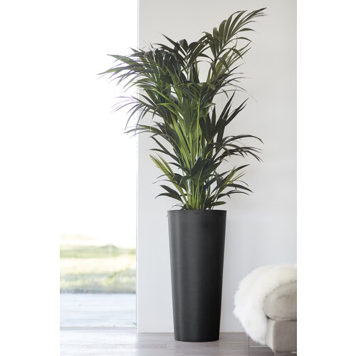 Ecopots Ecopots Amsterdam mid high 66 dark-grey | Gratis verzending