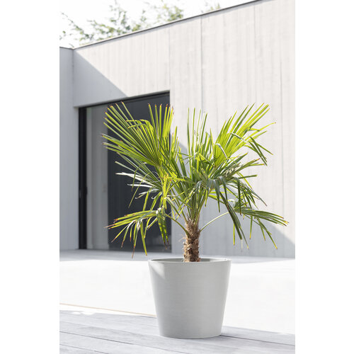 Ecopots Ecopots Amsterdam 80 white-grey met wielen | Morgen bezorgd